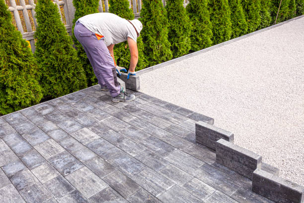 Best Driveway Paving Contractor  in Dallas Center, IA
